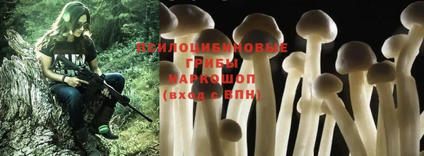 хмурый Кинешма